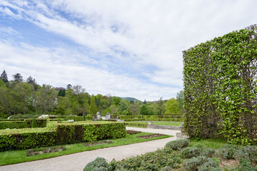 Trimmed hedge shrub in a European public park in Baden Baden, spring time