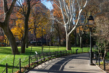 Walkway at Washington Square Park during Autumn in New York City