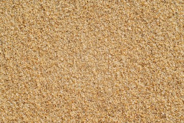 Fototapeta na wymiar Sea beach sand rough surface texture, Seamless background . Close up Top view