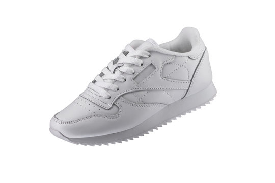 Sport shoes. White sneaker on a white background.
