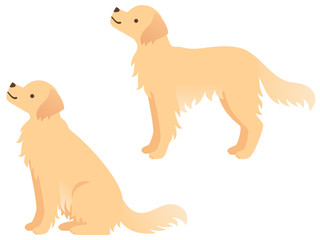 手描き風タッチの犬と猫のイラスト ゴールデン レトリバー 雑種キジトラ Wall Mural Nora Hachio 手描き風タッチの犬と猫のイラスト ゴールデン レトリバー 雑種キジトラ Wall Mural Nora Hachio