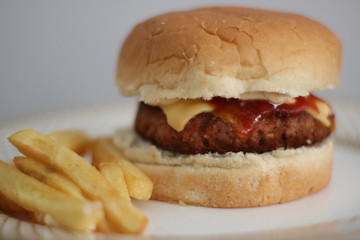 burger and french fries