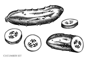 Vector set of hand drawn black and white cucumber