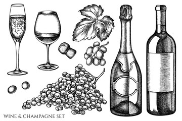 Vector set of hand drawn black and white grapes, champagne, bottle of wine, glass of champagne, glass of wine