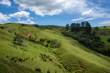 Fototapeta na wymiar Coromandel New Zealand. North Island. Landscapes.