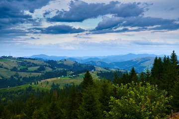 Sunset in carpathian mountains - beautiful summer landscape, spruces on hills, cloudy sky and wildflowers.