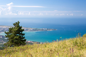 View of Gelendzhik from the height of the Markoth ridge. In the foreground pine tree, on the back of a Thick Cape of Gelendzhik lighthouse.