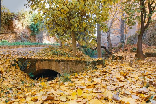 Ancient stone bridge in a park Granada Spain