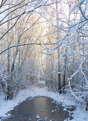 Frozen stream (canal) and trees with snow. Winter in scandinavia. Swedish landscape wallpaper. Nature photo.