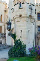 Fototapeta premium Ancient lantern with a curly green plant on the wall of an ancient castle in Europe