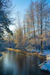 Frozen stream (canal) and trees with snow. Winter in scandinavia. Swedish landscape wallpaper. Nature photo.