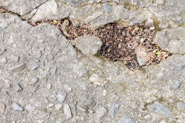 Granite texture