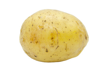 Potato tuber close up isolated on a white background. Vegetables, natural product.