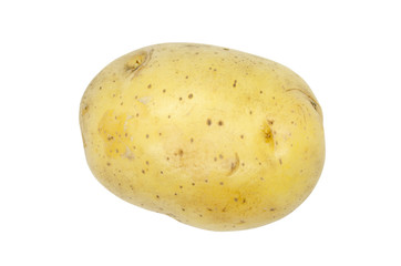 Potato tuber close up isolated on a white background. Vegetables, natural product.