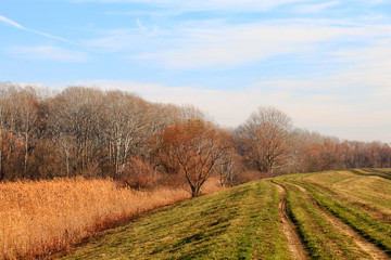 Country dirt road in autumn and blue sky