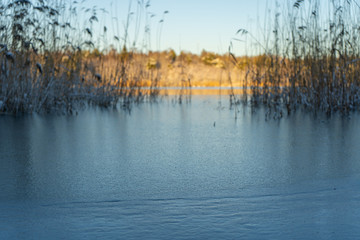 Frozen stream (canal) and trees with snow. Winter in scandinavia. Swedish landscape wallpaper. Nature photo.