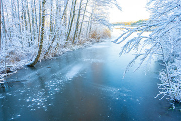 Frozen stream (canal) and trees with snow. Winter in scandinavia. Swedish landscape wallpaper. Nature photo.