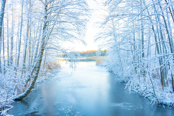Frozen stream (canal) and trees with snow. Winter in scandinavia. Swedish landscape wallpaper. Nature photo.