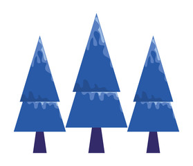 Pine trees with snow of winter season vector design