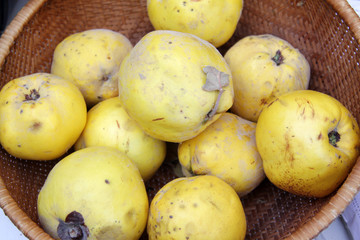 Fresh organic quince fruits in knitted basket. Quince Fruit pattern.