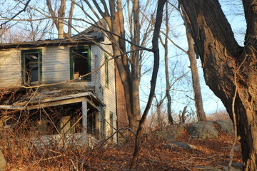 Old abandoned ruined decayed farmhouse in the woods