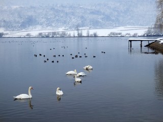 lake