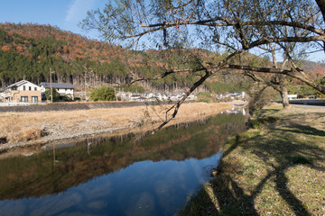 京都市北区 鴨川公園の川辺