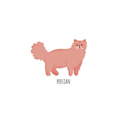 Fototapeta premium Cute character cartoon style of cat. Icon of persian breed for different design. 