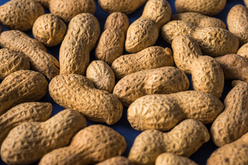 A pile of roasted peanuts on a trendy blue background with place for design and your text. concept. agriculture