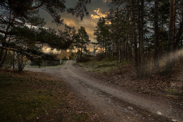 Obraz premium Evening