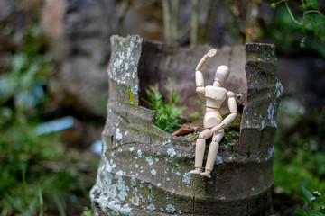 stories from the miniature world