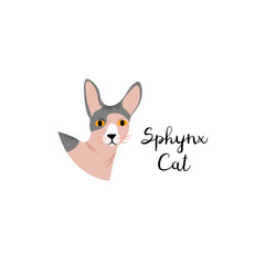 Cute portrait cartoon style of cat. Icon of sphynx breed for a different design. 