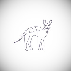 Cute character line style of cat. Icon of sphynx breed for different design. 