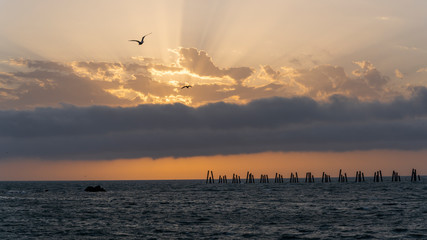Sunset Pazar Rize Seagulls