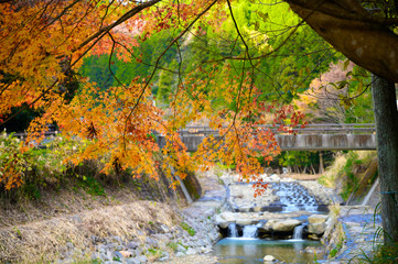 紅葉ロード【福岡県東峰村】