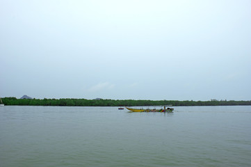 Traditional long boat on the background of mangrove forest.