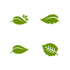 Green leaf icon logo design vector illustration template