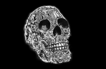 skull on black background