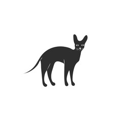 Cute character black style of cat. Simple silhouette icon of Sphynx breed for different design.