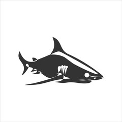 continuous line drawing of sea shark  illustration