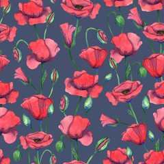 Hand drawn watercolor botanical  illustration. Watercolor poppies pattern. Red poppies print. Seamless flowers pattern. 
