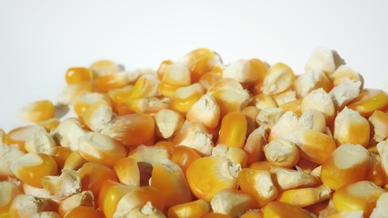Corn kernels on a white background