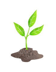 Green plant sprout vector illustration