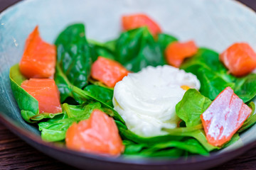 Close up plate with salmon salad with poached egg