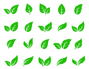 hand drawn veined green leaf icon eco set