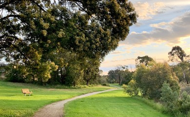 A path through a green landscape