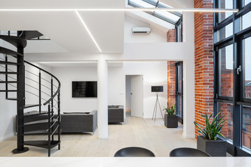 Modern open space loft apartment