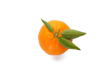 Flat lay tangerine with leaf isolated on white background close-up.