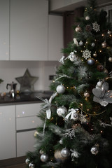 christmas lights hanging in a tree