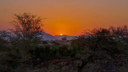 Fototapeta na wymiar South African Sunset